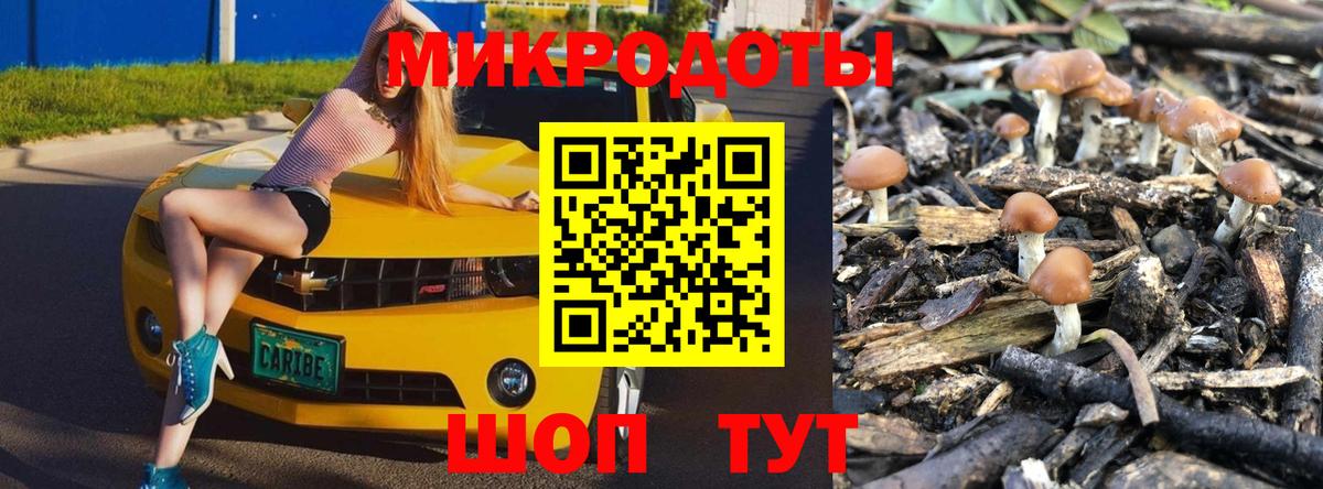 Самара  Псилоцибиновые грибы Psilocybe  Галлюциногенные грибы Psilocybe  Вход с VPN 